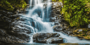 waterfall over rocks in forest