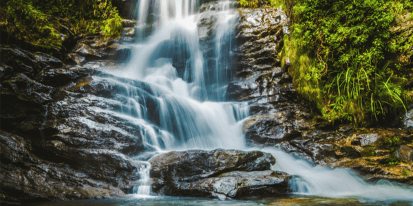 waterfall over rocks in forest